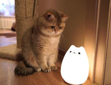 「brownout」是什麼意思?