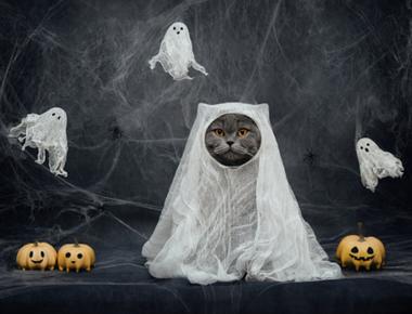 約會不可不知：「ghost」當動詞是什麼意思？