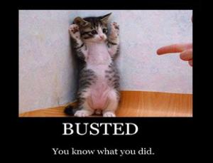 好用字: Busted!