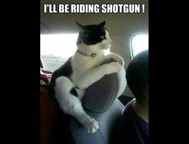 Riding shotgun 是什麼意思？