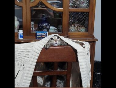 「chairdrobe」是什麼意思？