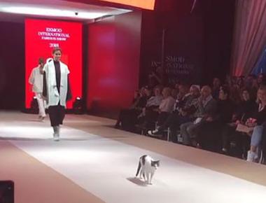 「Catwalk」不是指走台步！