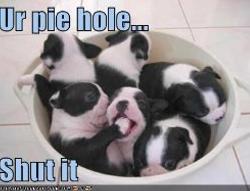 pie hole 是什麼?