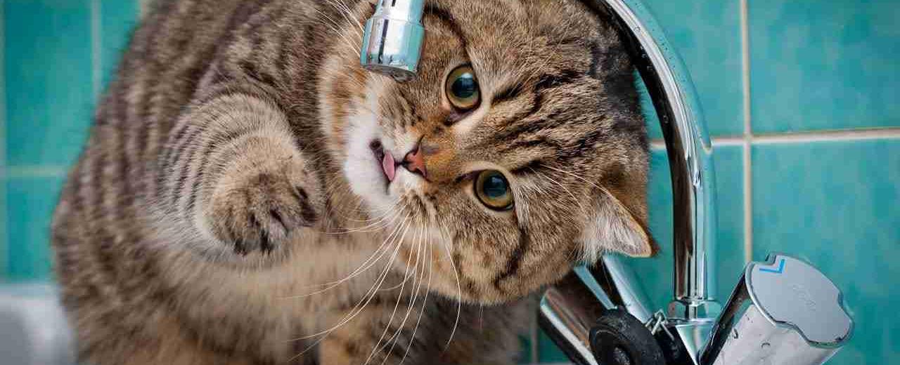 Try to Try Ving 用法 試著去做與嘗試看看 差別解析