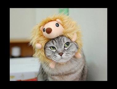 「Not off the top of my head.」是什麼意思？