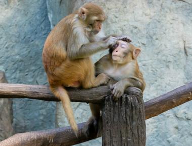 nitpick 是什麼意思？