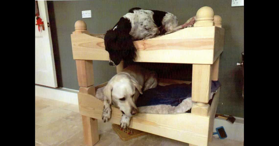 What Does English Bunk Bed Mean?