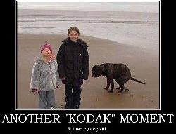 Kodak moment 是什麼意思?