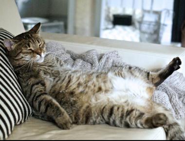 keep in shape 的誤譯