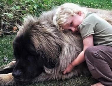 英文流行語新字: ginormous