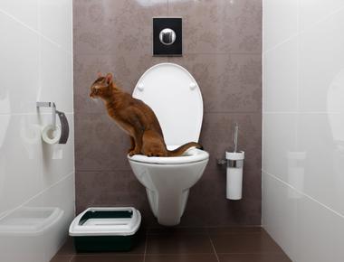 「免治馬桶」的英文怎麼說？