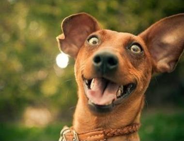 流行字「stoked」是什麼意思？