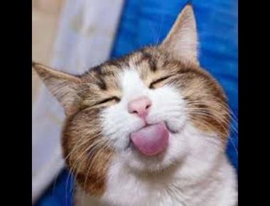 英文中形容詞的排列順序