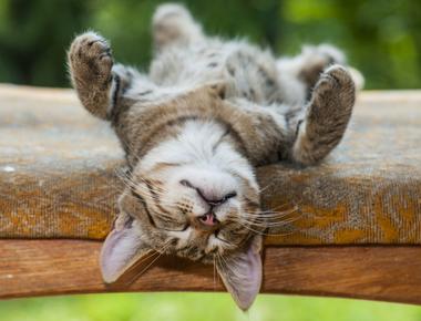 R.I.P. 是什麼意思?