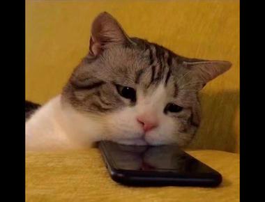 手機的「瀏海」英文怎麼說？