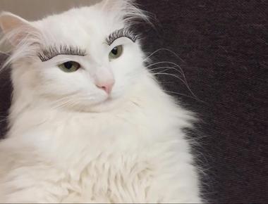 美容英文用語 (一)