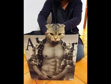 He is ripped. 是什麼意思？