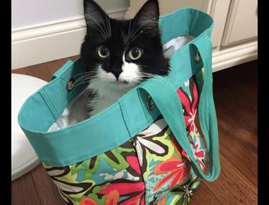 常見英文錯誤：There are two hundred dollars in my wallet.