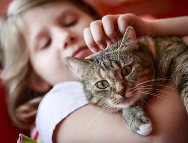 「照相」的正確英文說法