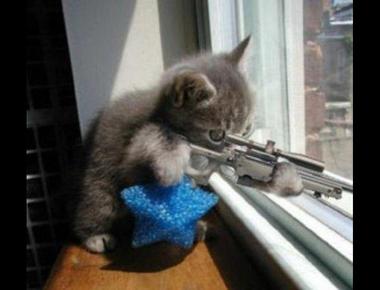 straight shooter 是指什麼？